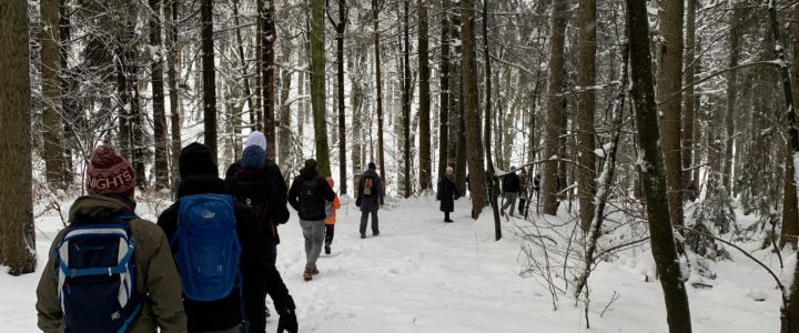 Winterwanderung durch die Rhön